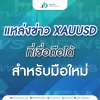 แหล่งข่าว XAUUSD ที่เชื่อถือได้สำหรับมือใหม่